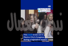 بالصور.. مشاجرة بالأيدي داخل برلمان مكسيكو