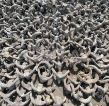  الملك المصري القديم فى هيئة ذى القرنين ‼️