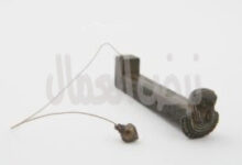 الكاهن الميقاتي (𓃹𓈖𓏌𓏏𓇼𓇳𓁹 wnwty )