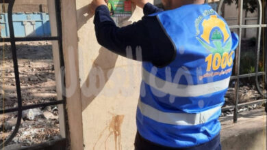 برعاية وزارة العمل مبادرة قطار التوظيف والاستثمار بصعيد مصر