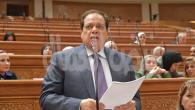 أبو العينين خلال الجلسة العامة للنواب :الاستثمار هو الحل