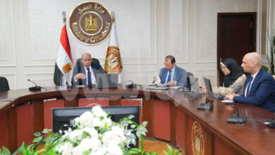 وزير العمل يعلن الانتهاء من فحص أوراق 4 لجان عمالية تمهيدًا لاعتمادها..