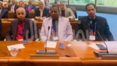 هشام رضوان ينقل رؤية العاملين بالتعليم والبحث العلمي إلى المحافل الدولية