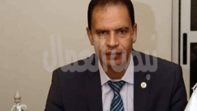 هشام رضوان: ثورة 30 يونيو أسقطت الإرهاب ووحدت المصريين