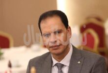 هشام رضوان: استهداف منشآت بميناء دمياط اعتداء على أمن الوطن