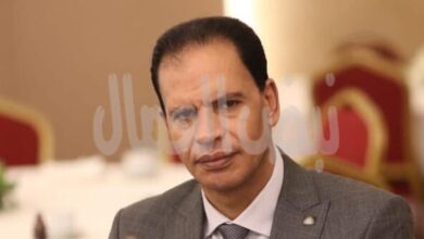 هشام رضوان: استهداف منشآت بميناء دمياط اعتداء على أمن الوطن