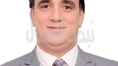 نائب رئيس شباب الوفد: التوافق المصري السعودي حائط صد لحماية الأمن القومي العربي
