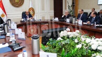 10 توجيهات من وزير العمل لتطوير نشاط المركز القومي لدراسات السلامة والصحة المهنية وتأمين بيئة العمل 10 توجيهات من وزير العمل لتطوير نشاط المركز القومي لدراسات السلامة والصحة المهنية وتأمين بيئة العمل
