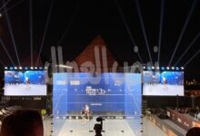 لقب مصر المفتوحة للاسكواش CIB Egyptian Squash Open 2026 .. نهائي مصري خالص بين نوران جوهر وهانيا الحمامي في السيدات